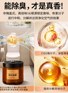 WITCEMEY卫车美厕所专用