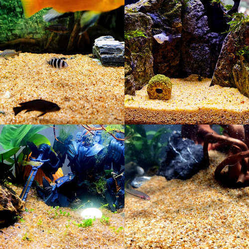 黄金沙南美三湖鼠鱼底沙鱼缸草缸水陆造景化妆沙天然细河沙水草砂 - 图2