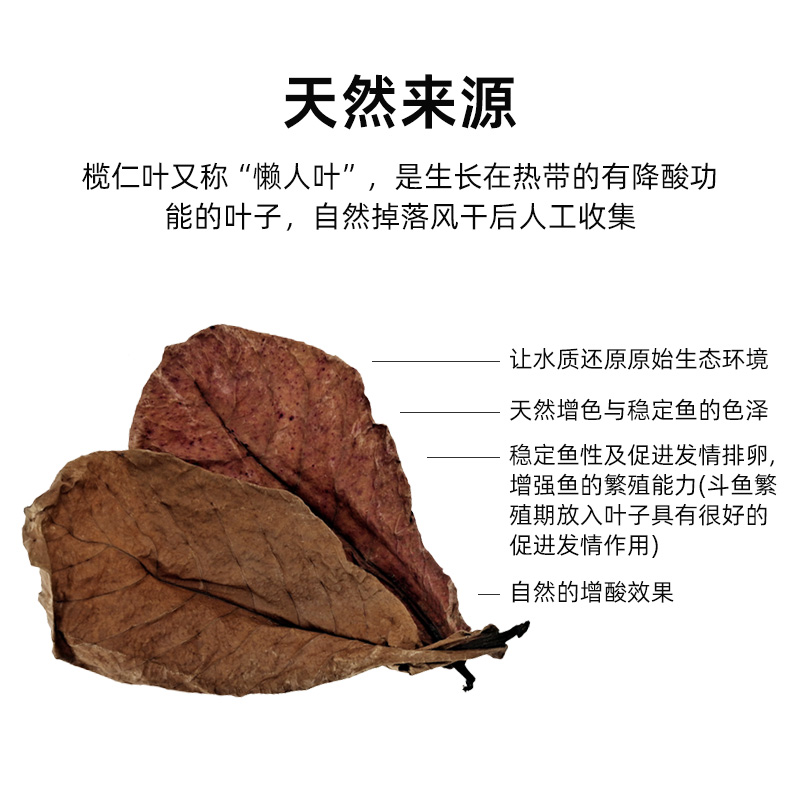 榄仁叶鱼缸造景装饰南美缸黄水缸黑水降酸降低PH值懒人叶橄榄叶 - 图0