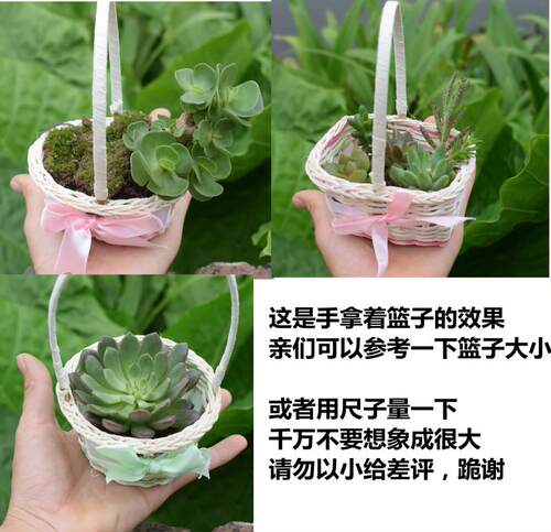 3.5元处理，藤编花篮-藤篮-篮子-手提篮-装饰品花篮-小篮子-花篮 - 图1