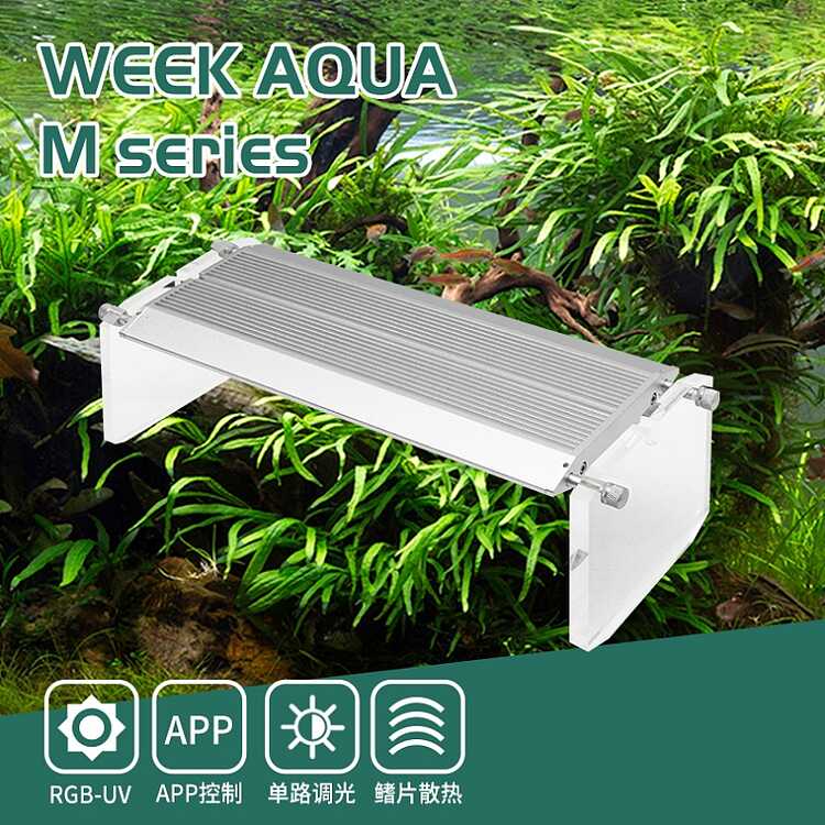 水草 多肉専用 Ae Week T90 Pro Rgb Uv Ledライト Fukubukuro Seeru 魚用品 水草 Cpmalaysia Com 水草 多肉専用 Ae Week T90 Pro Rgb Uv Ledライト Fukubukuro Seeru 魚用品 水草 Cpmalaysia Com