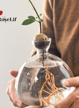O.RoseLif牛油果玻璃水培花瓶