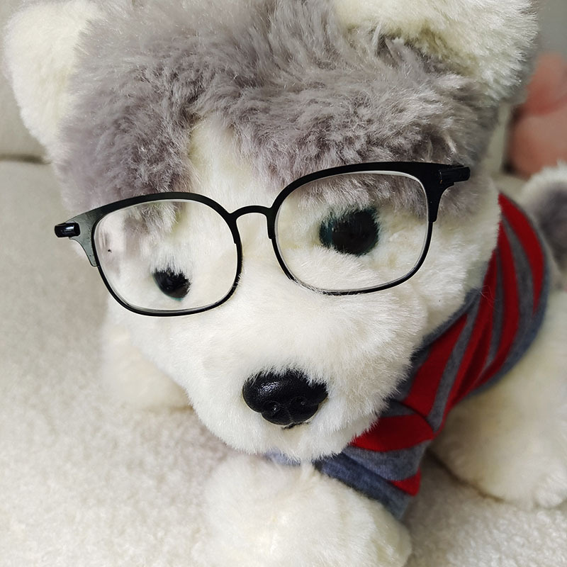 20cm超萌棉花娃娃JK妹小布金属方框宠物小猫小狗墨镜配饰动物墨镜 - 图0