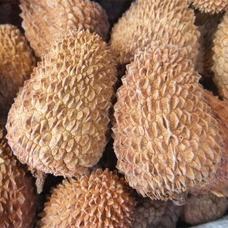 25新货福建桂林金钟药材荔枝干包邮产妇茶水烧水生津止渴250g - 图0