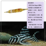 Бесплатная доставка Kody Bio Digest Aquarium Special High -эффективность, активированная пробиотики, 30 ветви нитрифурированных бактерий
