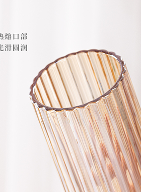 简约高级感花瓶摆件客厅插花水培