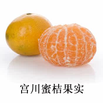 涌泉蜜桔苗浙江正宗嫁接宫川无核早熟柑橘橘子果树苗庭院带土发货 - 图3
