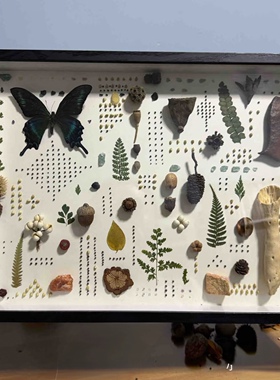 diy手工立体中空相框 标本框贝壳石头植物干花收藏保存展示画框架