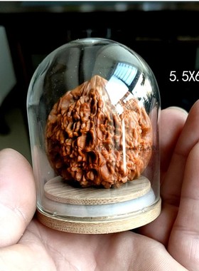 葫芦微景观透明手办展示罩