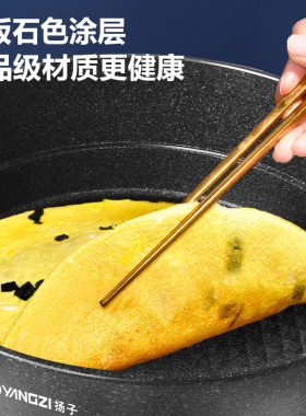 扬子微压电热锅电火锅电炒锅