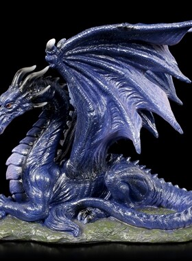 MidnightDragon中世纪飞龙