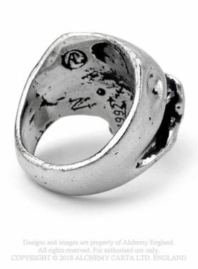 骷髅颅骨哥特朋克摇滚指环戒指