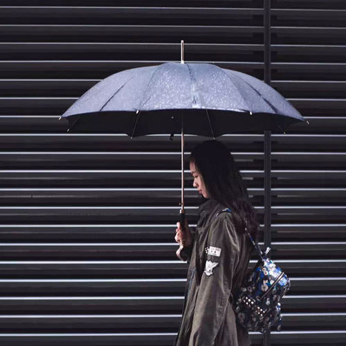 意大利Pasotti雨伞男士商务银色眼镜蛇晴雨伞长柄防晒黑胶太阳伞 - 图0