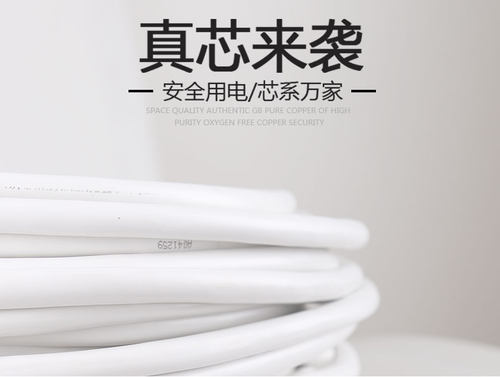 德力西家装电线ZC-RVV国标铜芯线纯铜阻燃电缆二三四芯单米散剪 - 图1