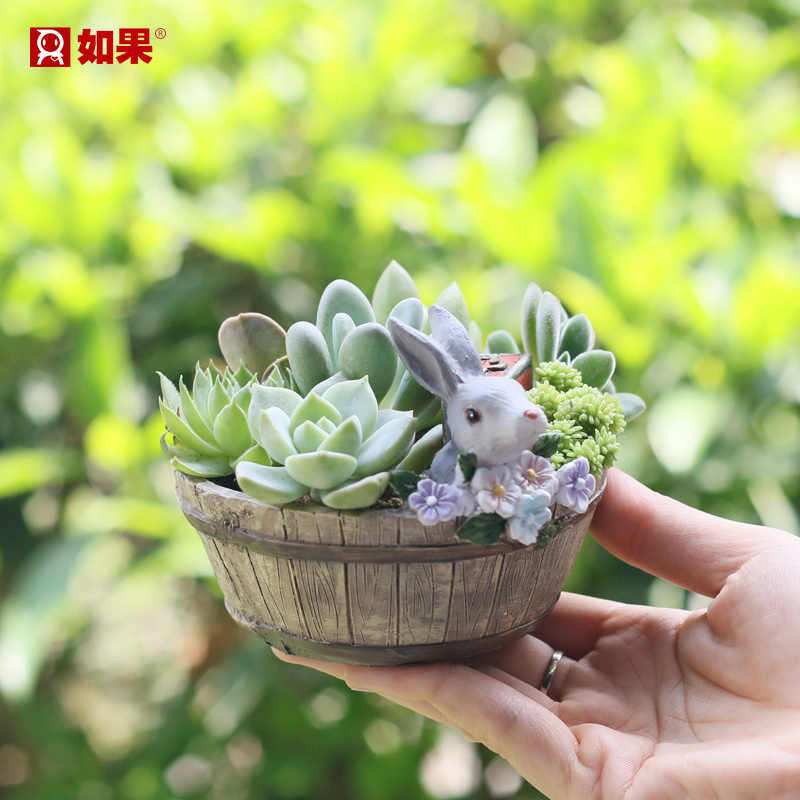 動物多肉植物花盆花器 新人首單立減十元 21年8月 淘寶海外