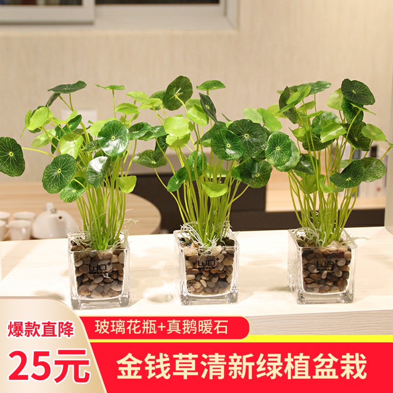 wo+模擬花清新綠植盆栽金錢草假草四葉草三葉草小蓮花荷花藝套裝