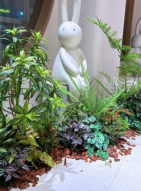 wo+仿真蕨草绿植景观造景