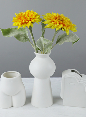 人脸艺术风陶瓷插花摆放客厅桌面