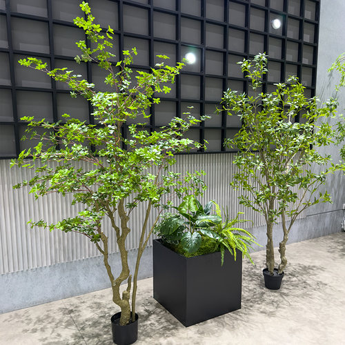wo+仿真吊钟树假绿植马醉木大型植物景观花箱搭配橱窗电梯口摆放 - 图0