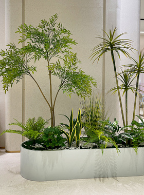 天堂鸟仿真绿植花箱落地摆放