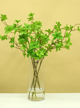 仿真绿色植物马醉木吊钟室内装饰