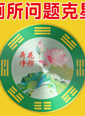 荷花鲤鱼图鲤鱼荷花牌