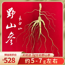 Wild Mountain ginseng Changbai Mountain preferred for more than 15 years whole branch with national inspection certificate source Changbai Mountain 5-7g gift box