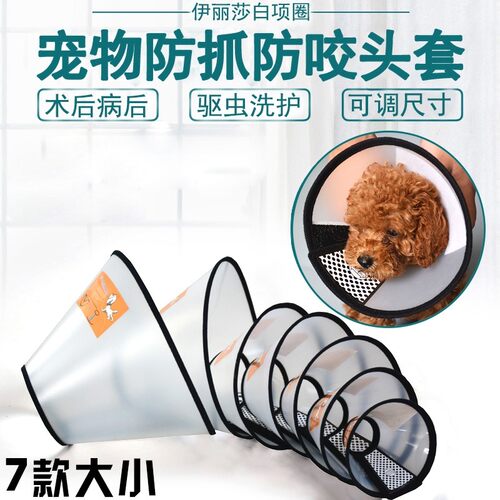 宠物伊丽莎白圈猫狗皮肤病保护套犬猫防抓挠脖圈防咬防舔圈耻辱罩 - 图0