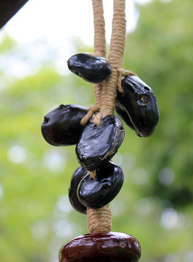 大扁豆挂饰天然真果实串云南特色