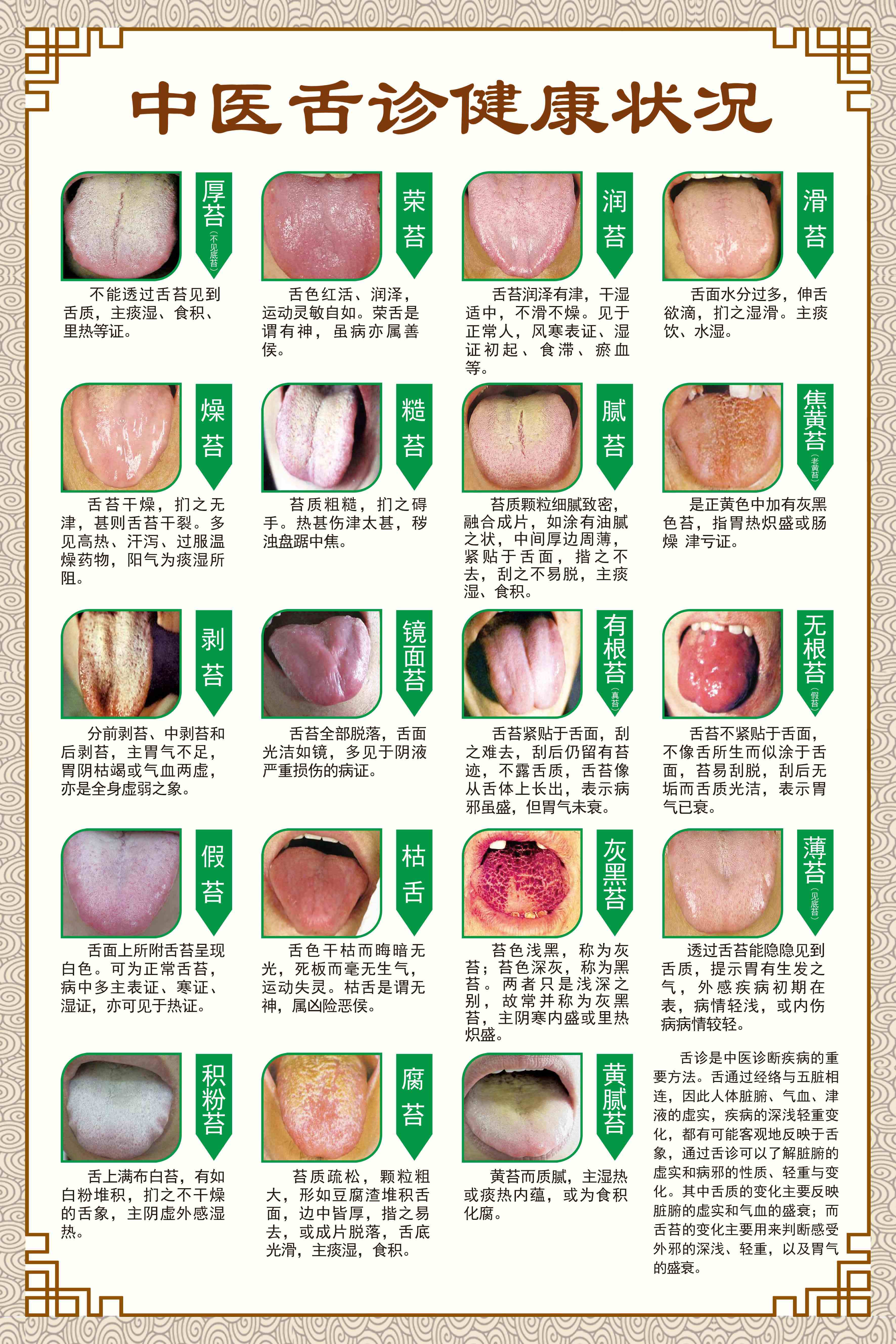 舌诊图 新人首单立减十元 21年9月 淘宝海外 舌诊图 新人首单立减十元 21年9月 淘宝海外