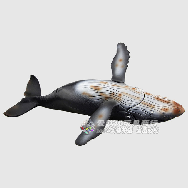 Solid static shark model children's educational toy