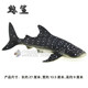Static solid shark toy model whale octopus