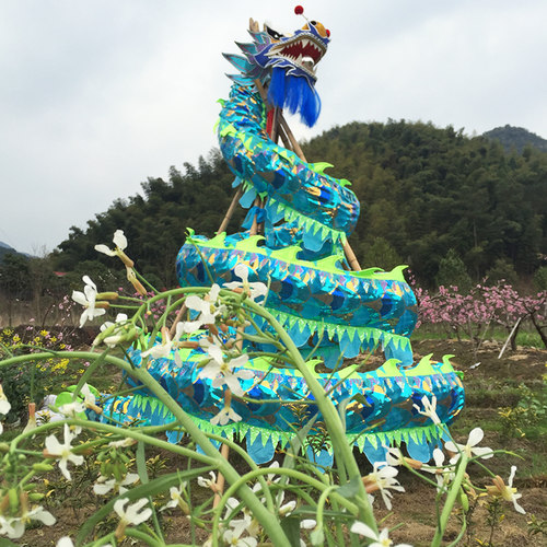 奉化布龙青色网眼龙特制尺寸30 舞龙舞狮道具龙灯比赛龙表演龙 - 图0