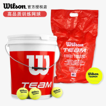 Wilwin Wilson No Stress Training Tennis Bucket Tennis Practice Tennis 72-96