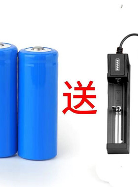 18500电推剪3手电筒充电器电池
