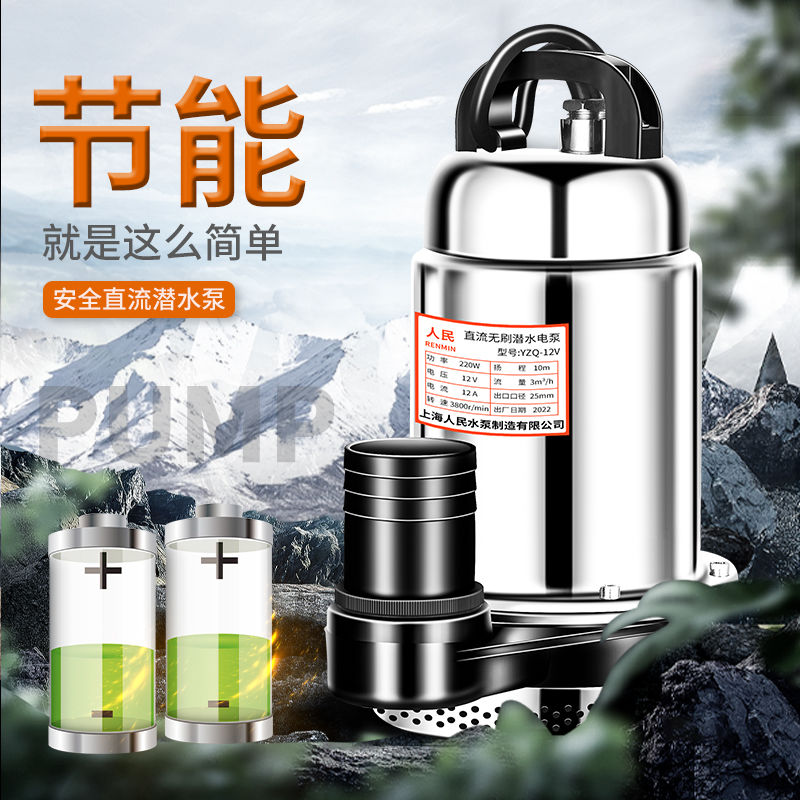 上海人民12V24V48V60V72V直流潜水泵电瓶车泵家用农用刷车电动车 - 图2