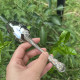 Reed Barton, USA, REED&BARTON High-end 304 Stainless Steel Dessert Spoon Western Food Spoon, Soup Spoon, Thick Spoon