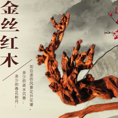 羊蹄甲金丝红木中国风根雕根艺摆件树根毛料珊瑚木沉木水族水景料 - 图1
