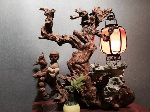 羊蹄甲金丝红木中国风根雕根艺摆件树根毛料珊瑚木沉木水族水景料 - 图2