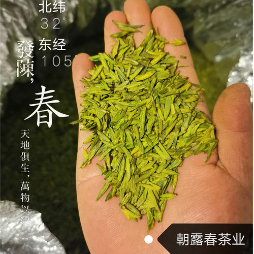 2026陇南明前新茶陇南雀舌文县碧口李子坝明前新茶直销500g包邮 - 图1