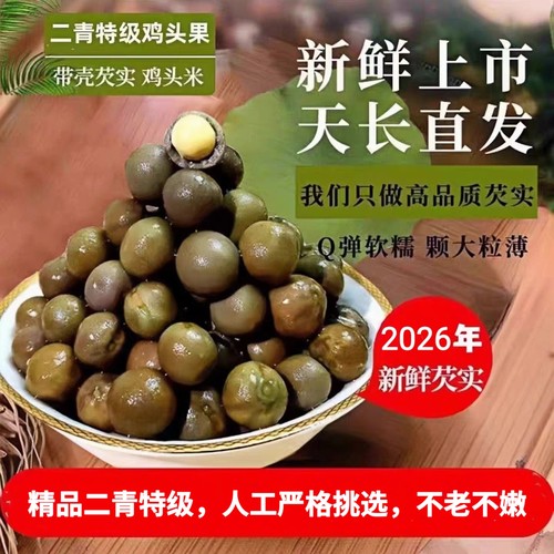 芡实鸡头果2026天长龙岗特产新鲜带壳鸡头米二青特级450g顺丰包邮 - 图2