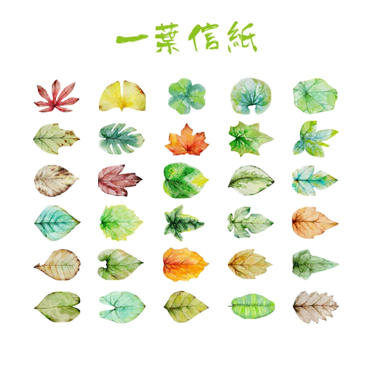 复古装饰明信片墙 照片墙装饰 夹子麻绳挂饰 房间创意背景墙悬挂