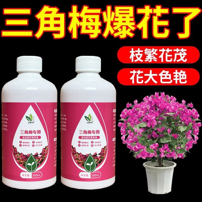 三角梅催花营养液专用肥懒人养花卉通用型梅花促花保花腊梅催花素 - 图0