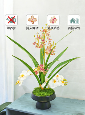 中式陶瓷蝴蝶兰仿真兰花盆栽