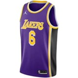 Nike NBA Los Angeles Lakers James № 6 Zijin объявил о ограниченном SW Jersey CV9481-513