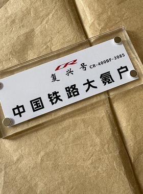 中国铁路大氪户 和谐复兴号12306火车迷趣味冰箱贴创意礼物