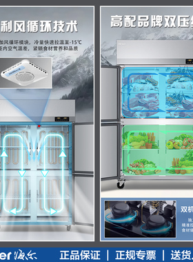 海尔一级能效冷冻四门商用冰箱