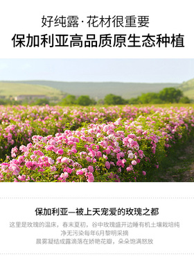 保加利亚进口大马士革玫瑰纯露