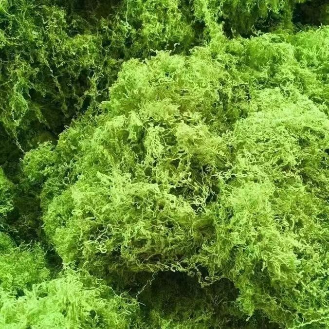 仿真丛林苔藓假青苔仿生草皮造景丝线仿真植被假草皮草坪花盆铺面 - 图1