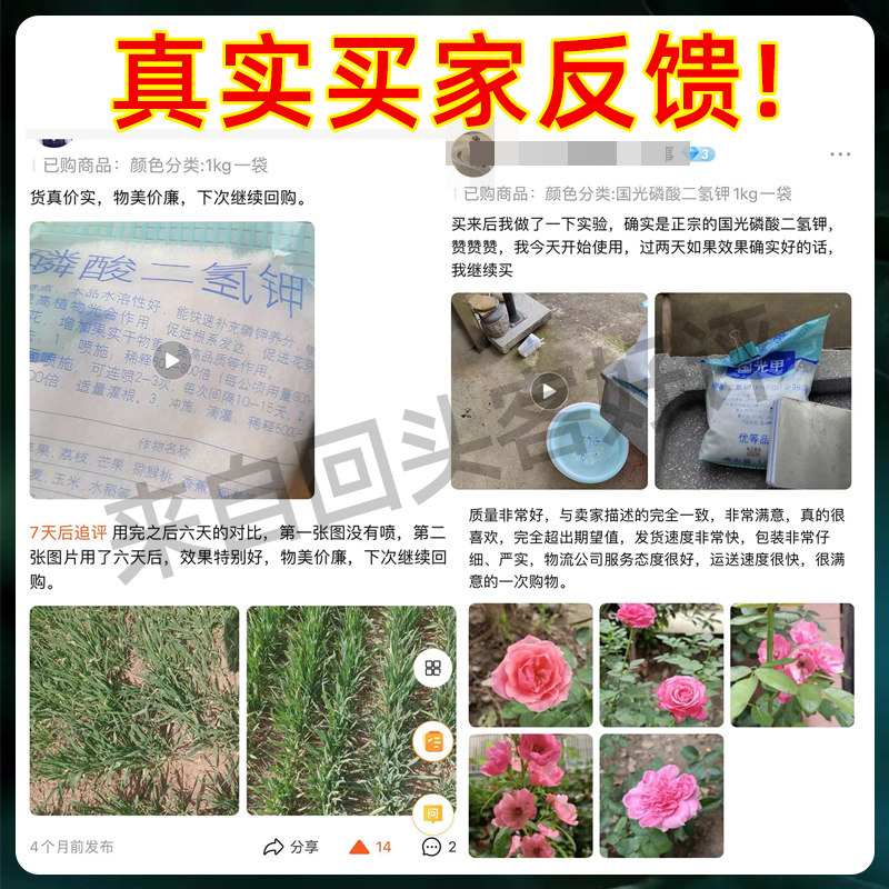 国光磷酸二氢钾肥料植物花卉专用叶面肥君子兰大量元素水溶肥农用